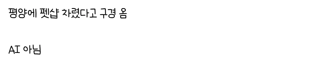 평양 펫샵에서 자란 북돼지 방문 근황