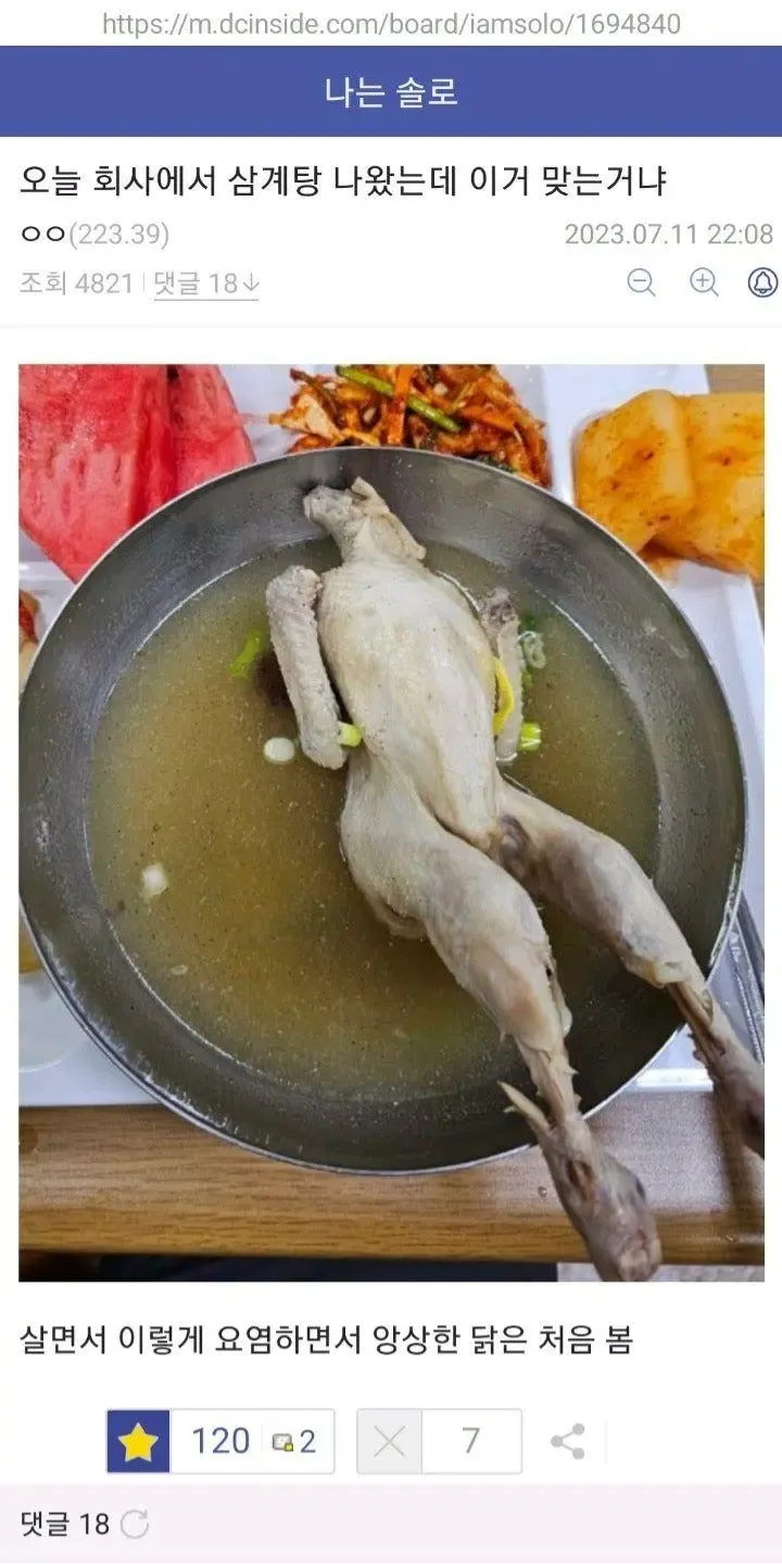 회사에서 나눈 삼계탕과 요리법에 대한 댓글