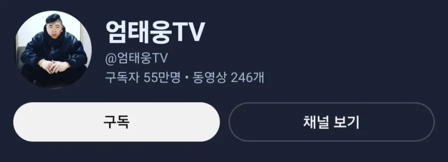 엄태웅TV 유튜브 채널 - 구독자 55만명, 동영상 246개
