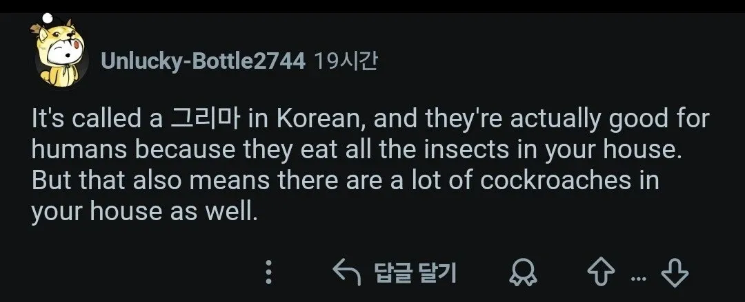한국 그리마(집게벌레)에 대한 댓글: 곤충 제거 역할과 바퀴벌레 연관성 설명