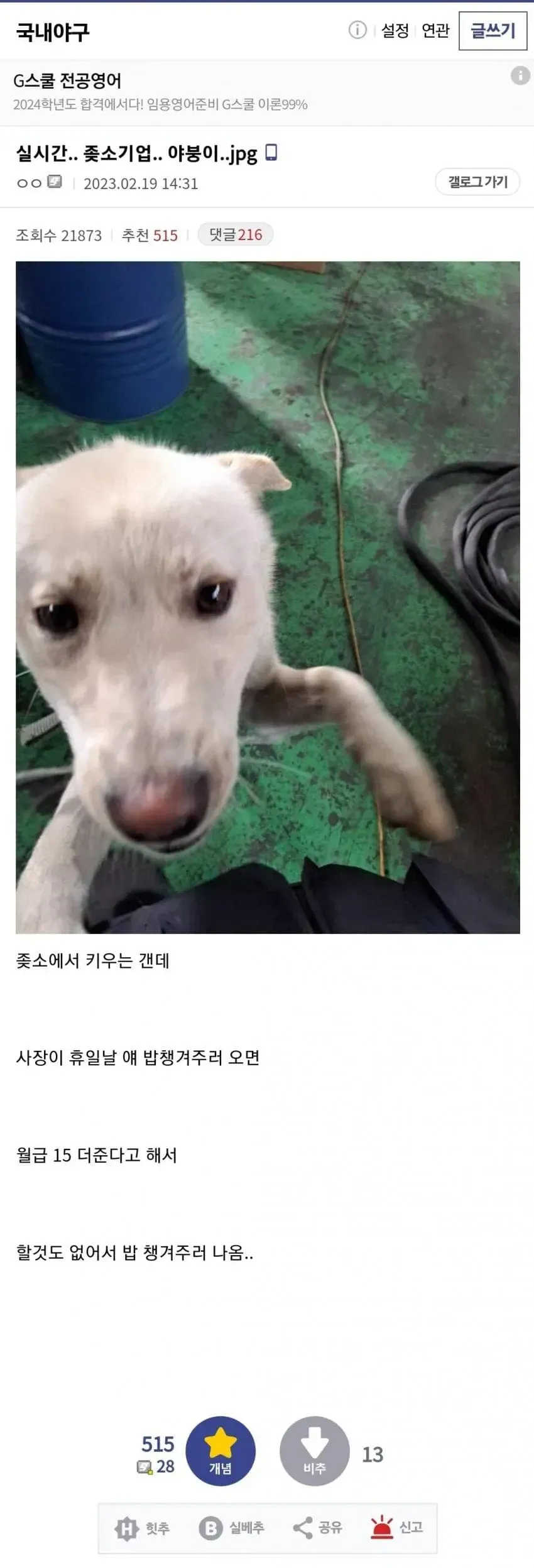 도색백호관의 댓글: '사람이 습관을 떨쳐주는 건 얼마나 큰' (별 13개)