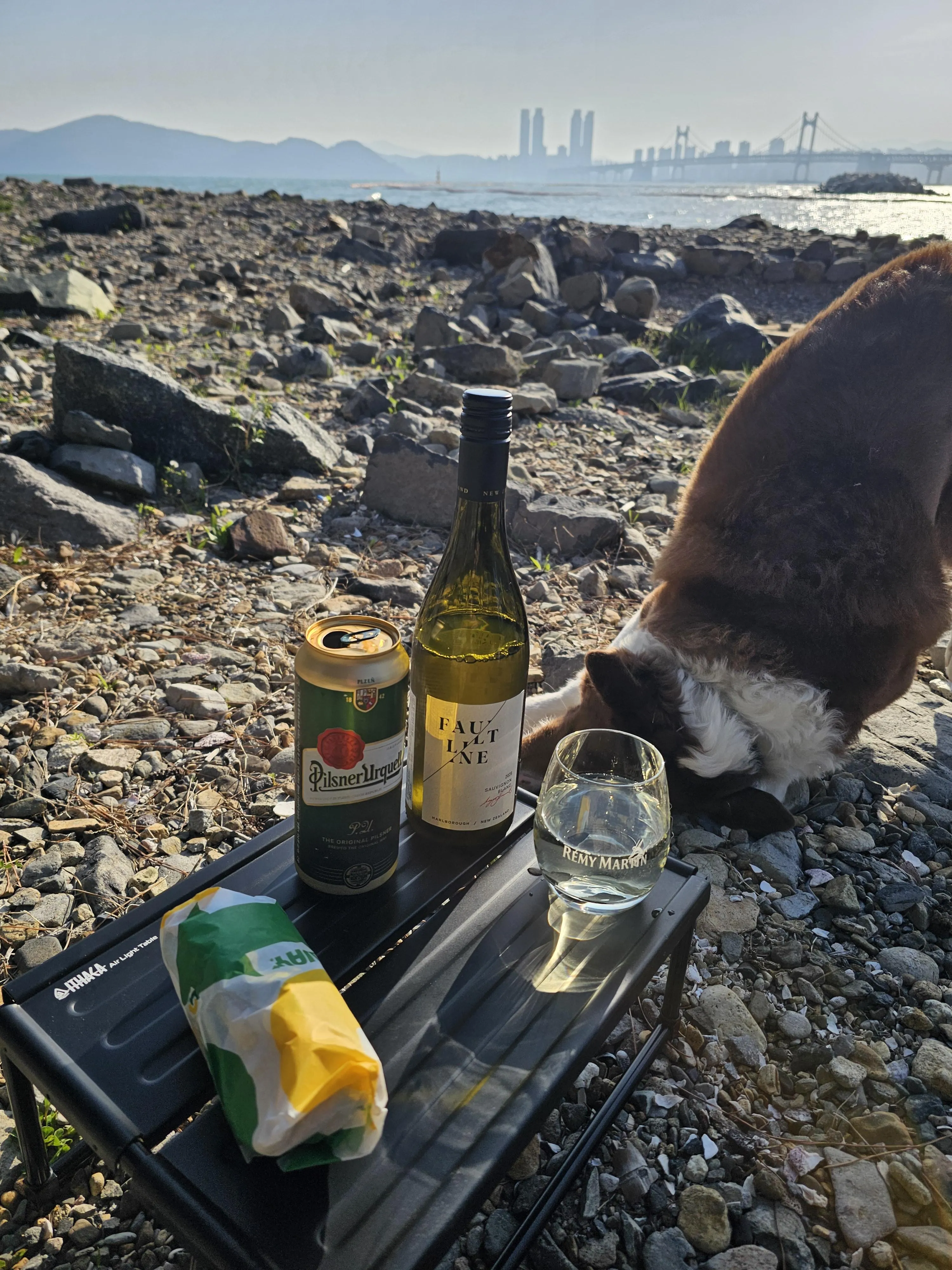 주말에 반려견과 함께 야외에서 즐거운 시간을 보내는 모습