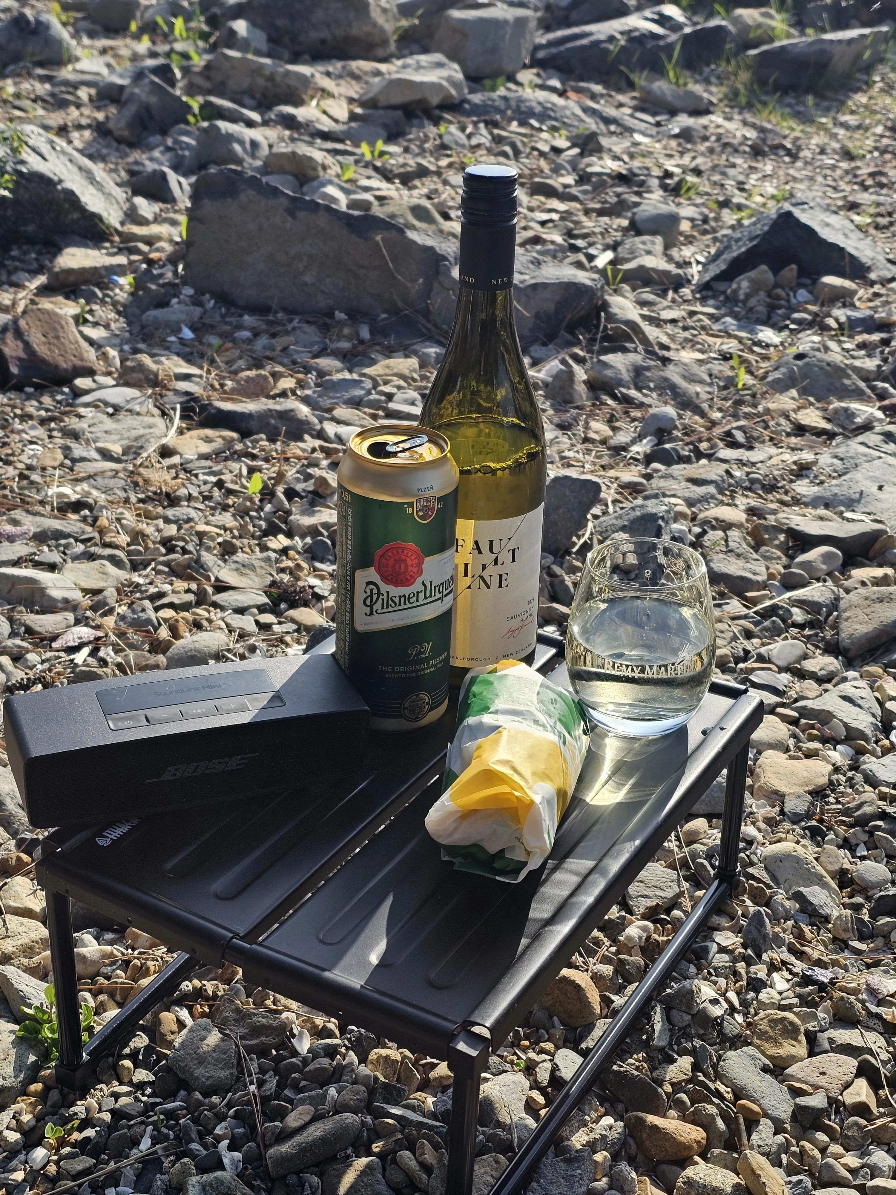 주말에 반려견과 함께 야외에서 산책하며 보내는 모습