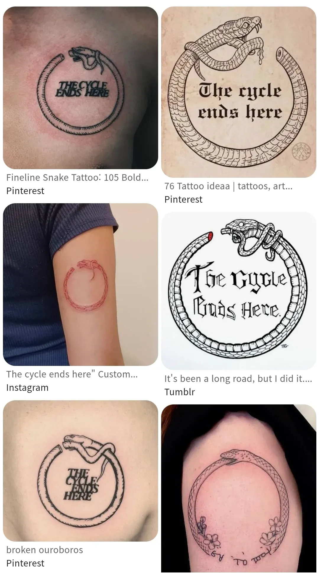 "The cycle ends here" 텍스트가 반복된 반출생주의 밈