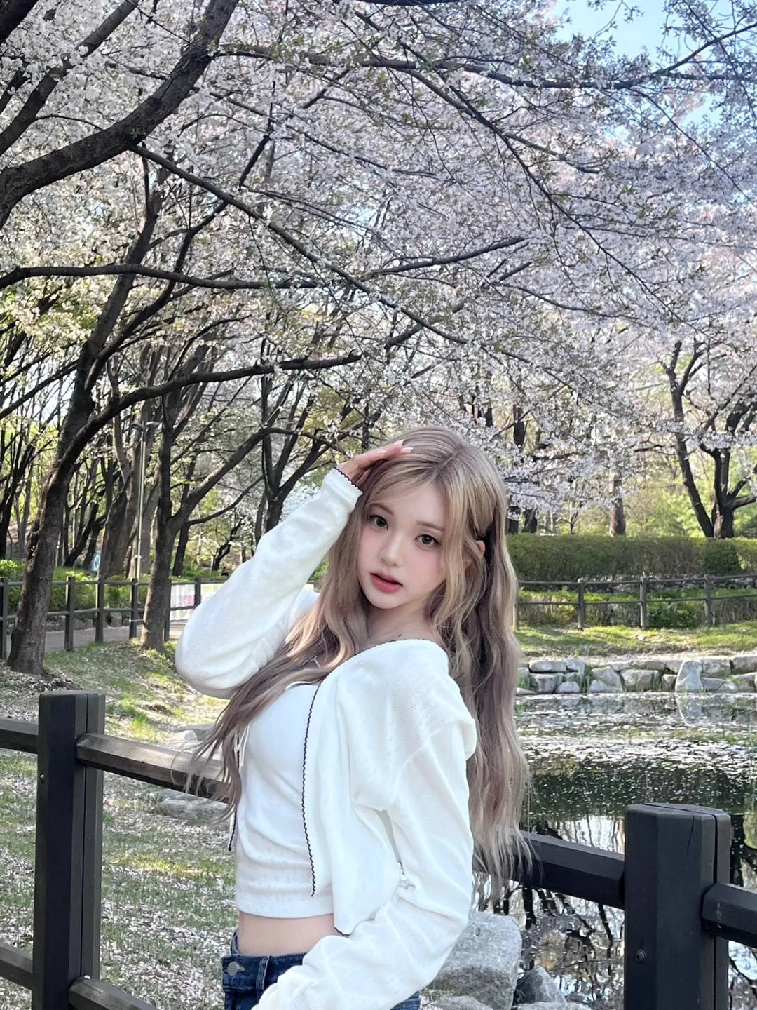 벚꽃길을 막고 진행 중인 드라마 촬영 현장에 시민들이 통행을 제한당하는 모습