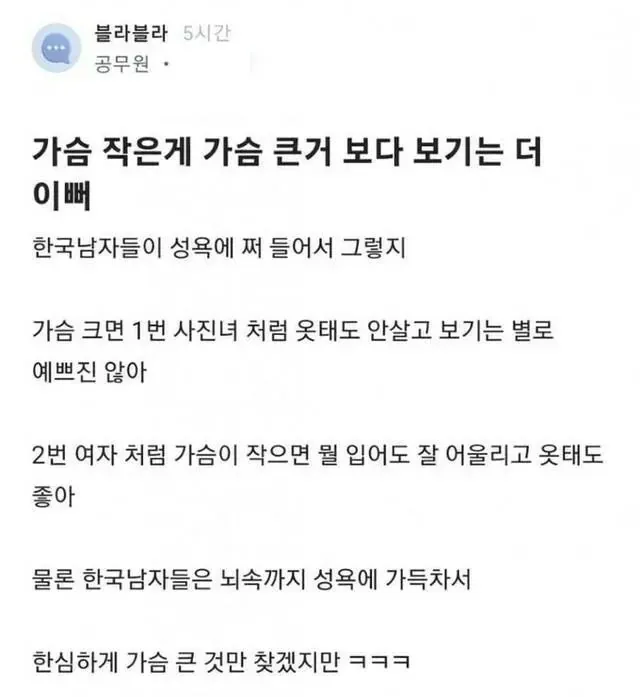 가슴 크기에 따른 옷태 비교 사진 두 장과 작은 가슴이 보기 좋다는 글