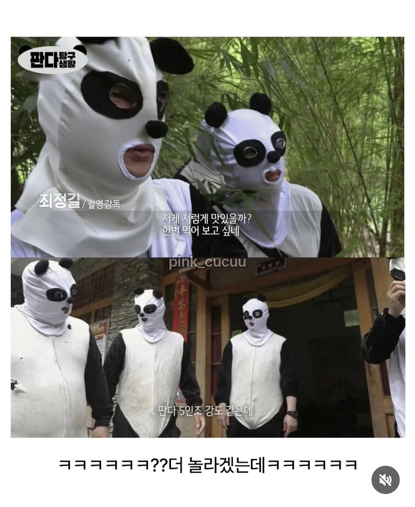 판다를 안심시키기 위해 판다 분장을 한 제작진