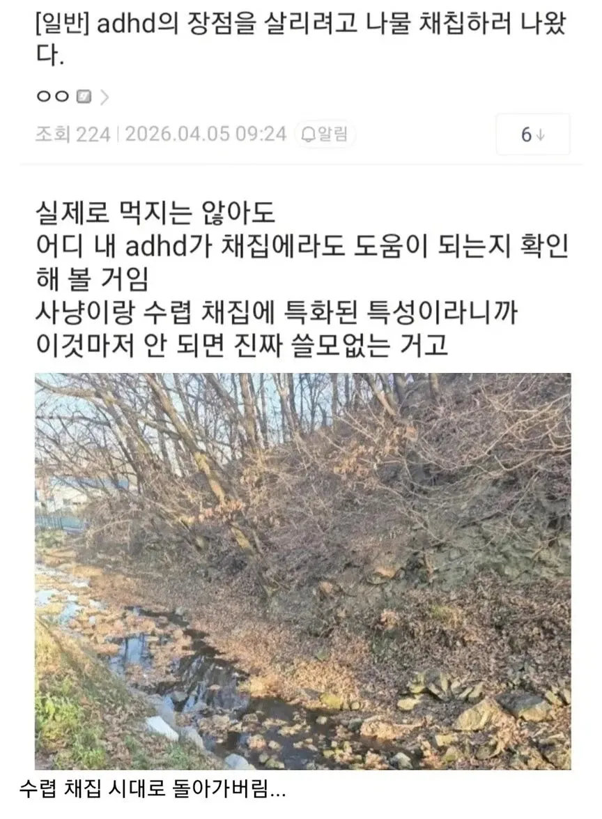 ADHD 장점을 살려 나물 채집하러 나온 사람의 커뮤니티 게시글 캡처
