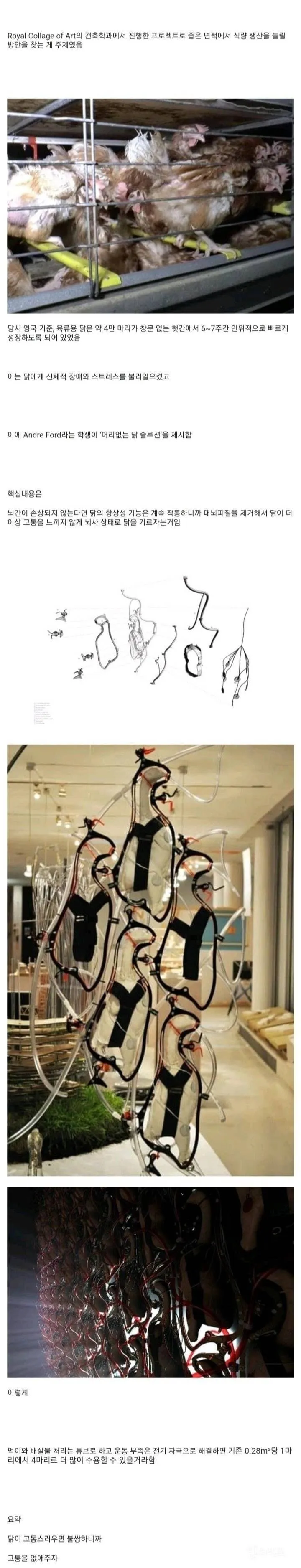 Smart Chicken 프로젝트: 음악, 거울, SNS로 닭의 스트레스를 줄이는 디지털 솔루션 개요