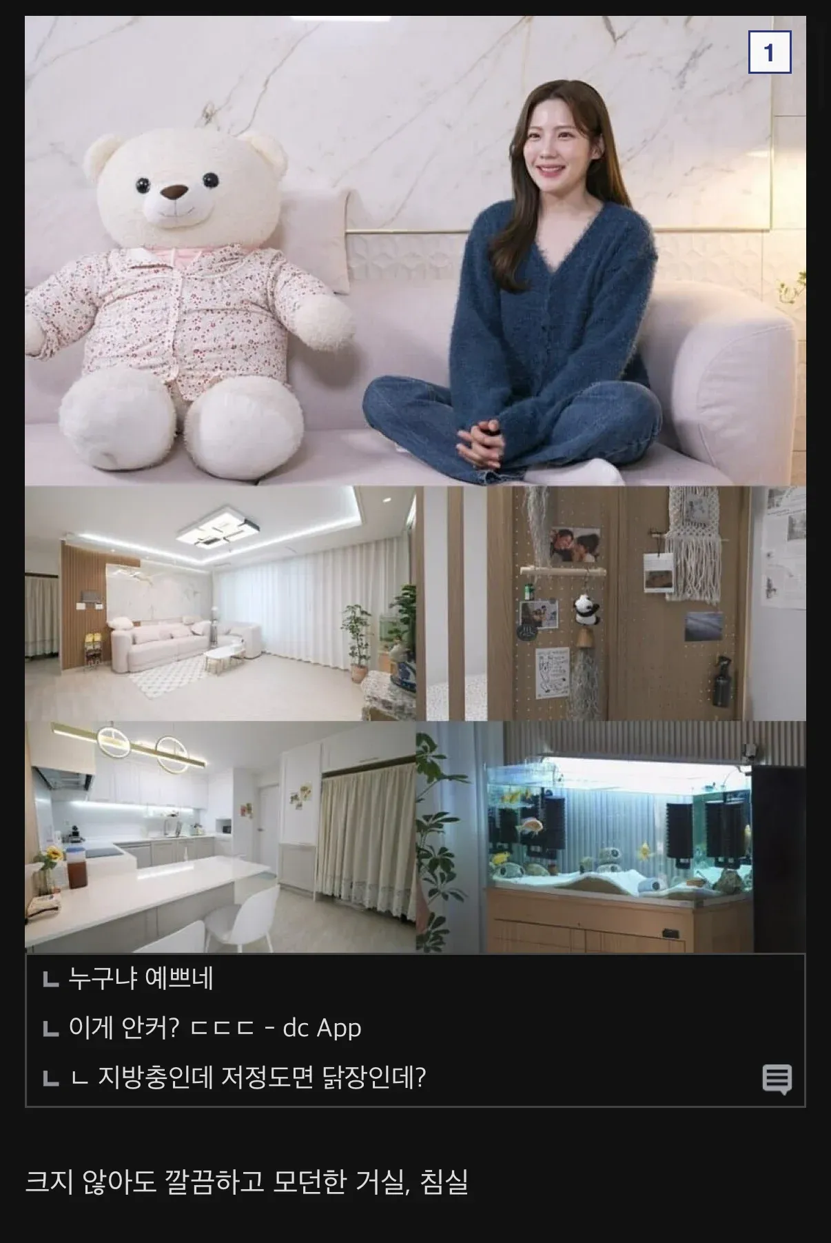 서울 소형 원룸 내부 사진과 반응 댓글이 달린 온라인 커뮤니티 게시글