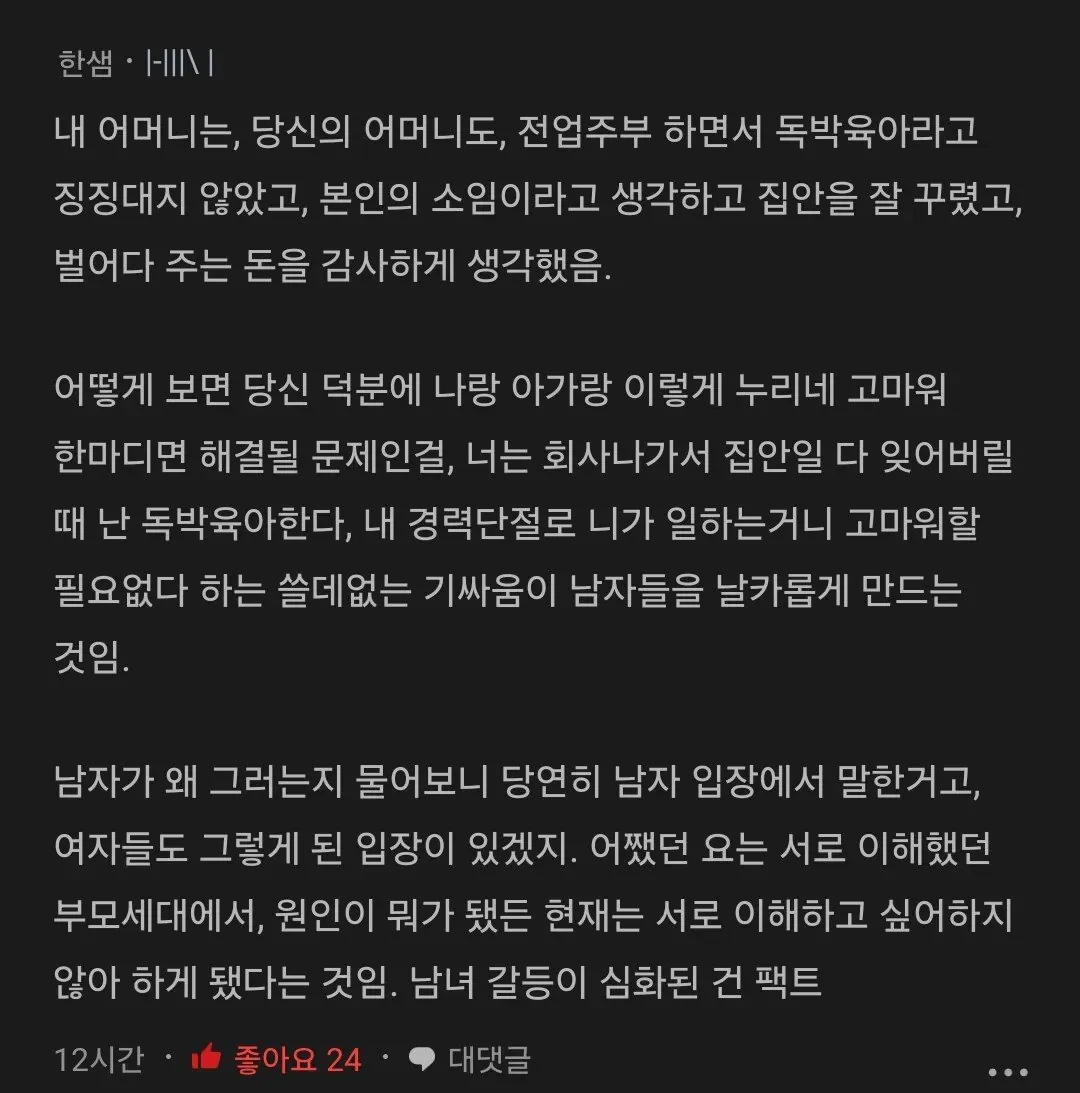 전업주부 독박육아 논쟁에 대한 남성 시점 의견이 담긴 온라인 커뮤니티 글 캡처