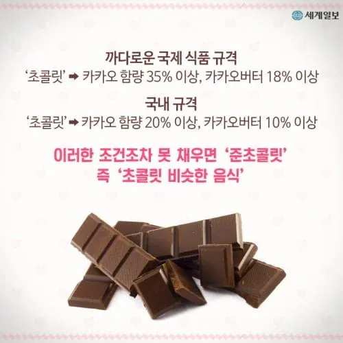 국제 vs 국내 초콜릿 카카오 함량 기준 비교 인포그래픽