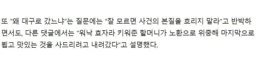 대구행 이유에 대한 질문과 반박 및 할머니 병문안 설명 댓글 캡처