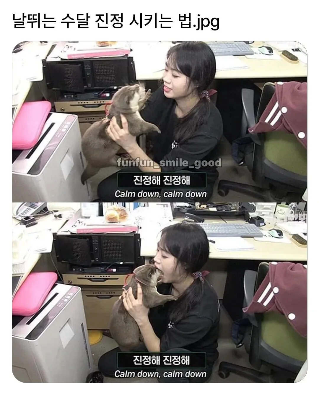 흥분한 수달을 양손으로 잡고 진정시키는 모습