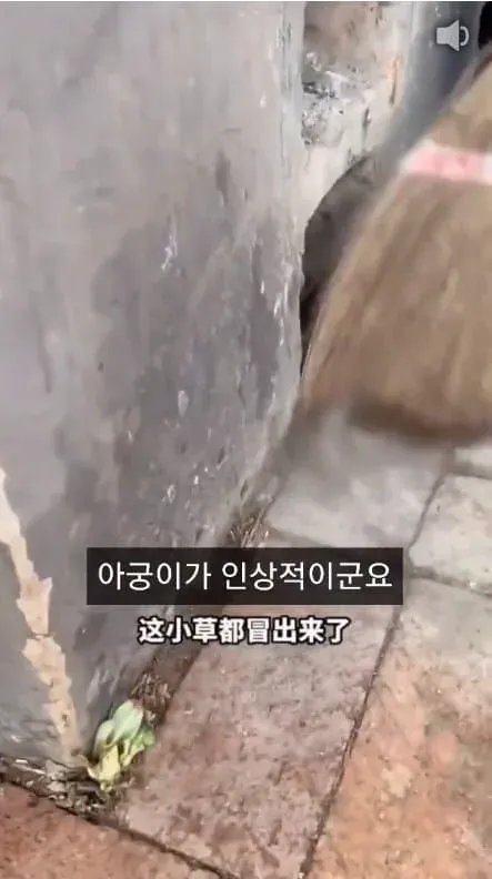 아궁이가 있는 전통 한국식 부뚜막에서 부대찌개를 끓이는 모습