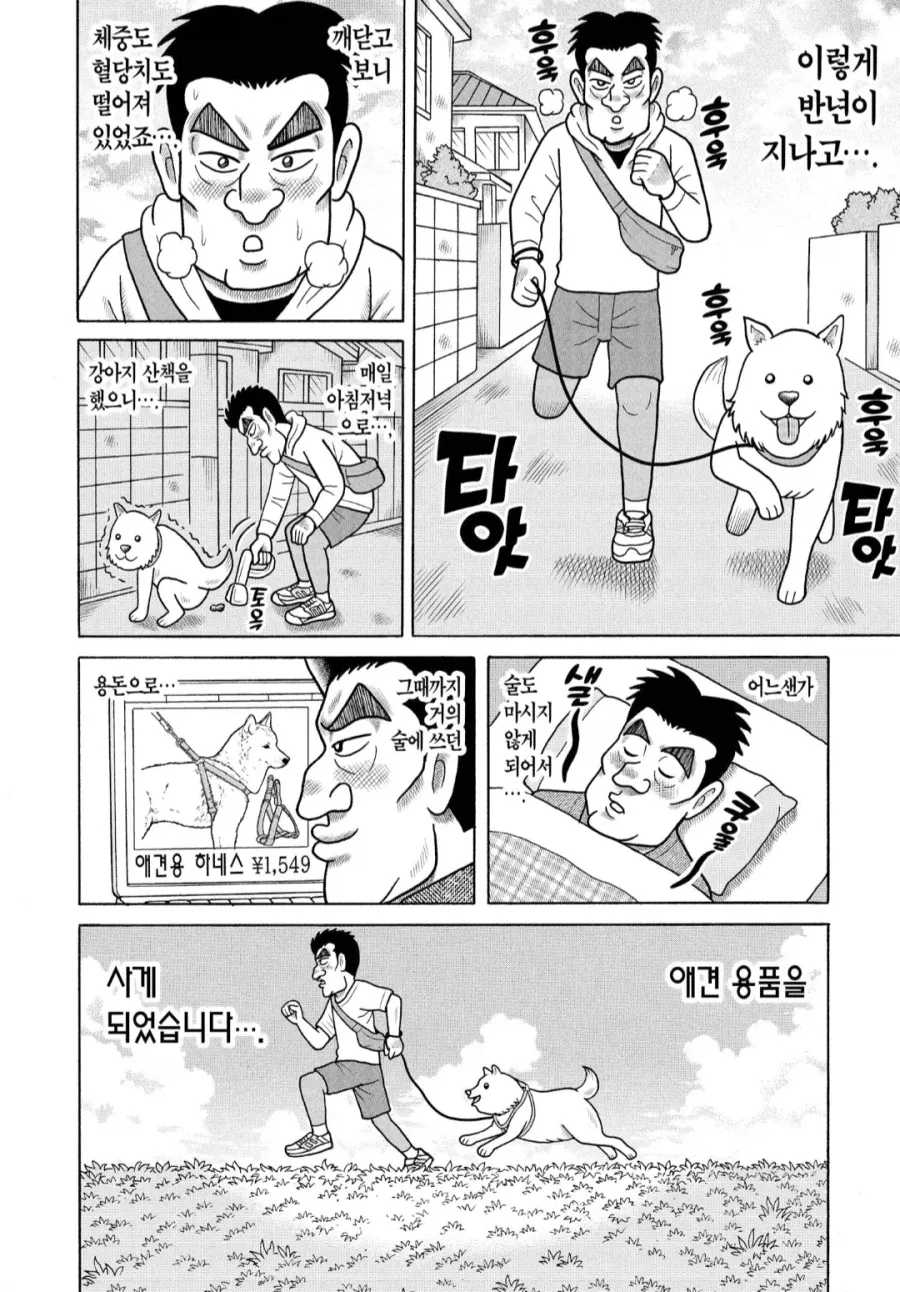 알코올 중독자가 강아지 산책을 매일 하며 술값 대신 애견용품비로 바꾼 변화를 보여주는 비교 이미지