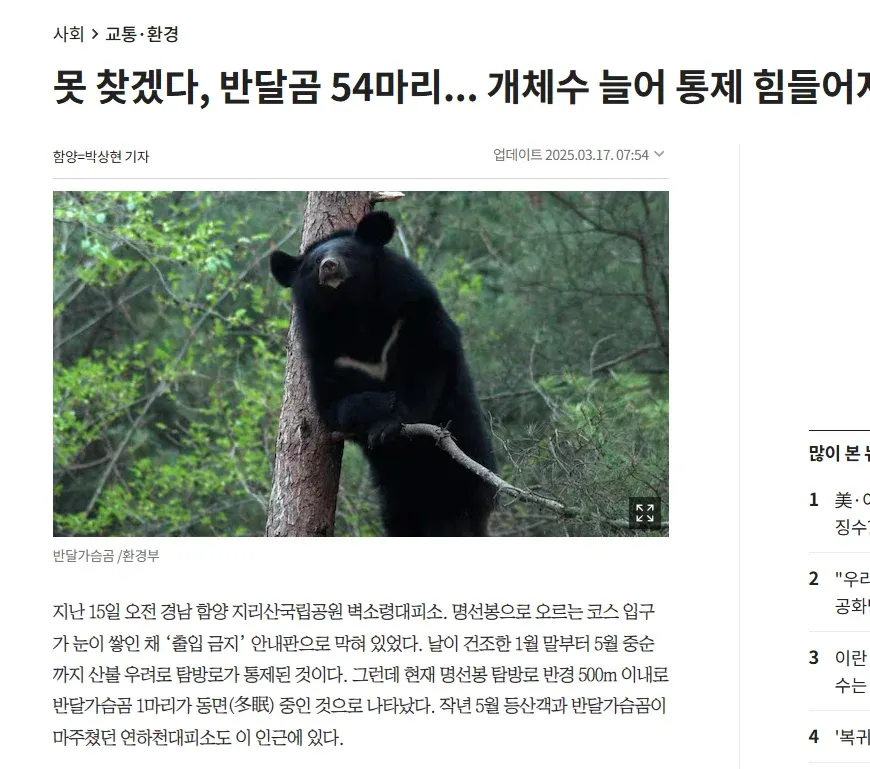 지리산 반달가슴곰 개체수 증가로 통제 어려움을 보도하는 뉴스 기사 화면