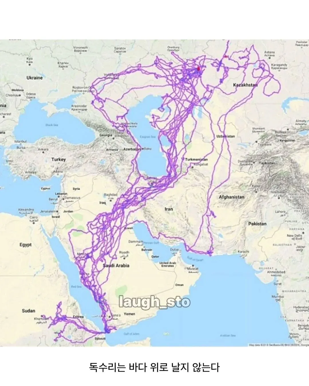 독수리 20년간 GPS 추적 결과 바다 위를 비행하지 않는 경로를 보여주는 지도