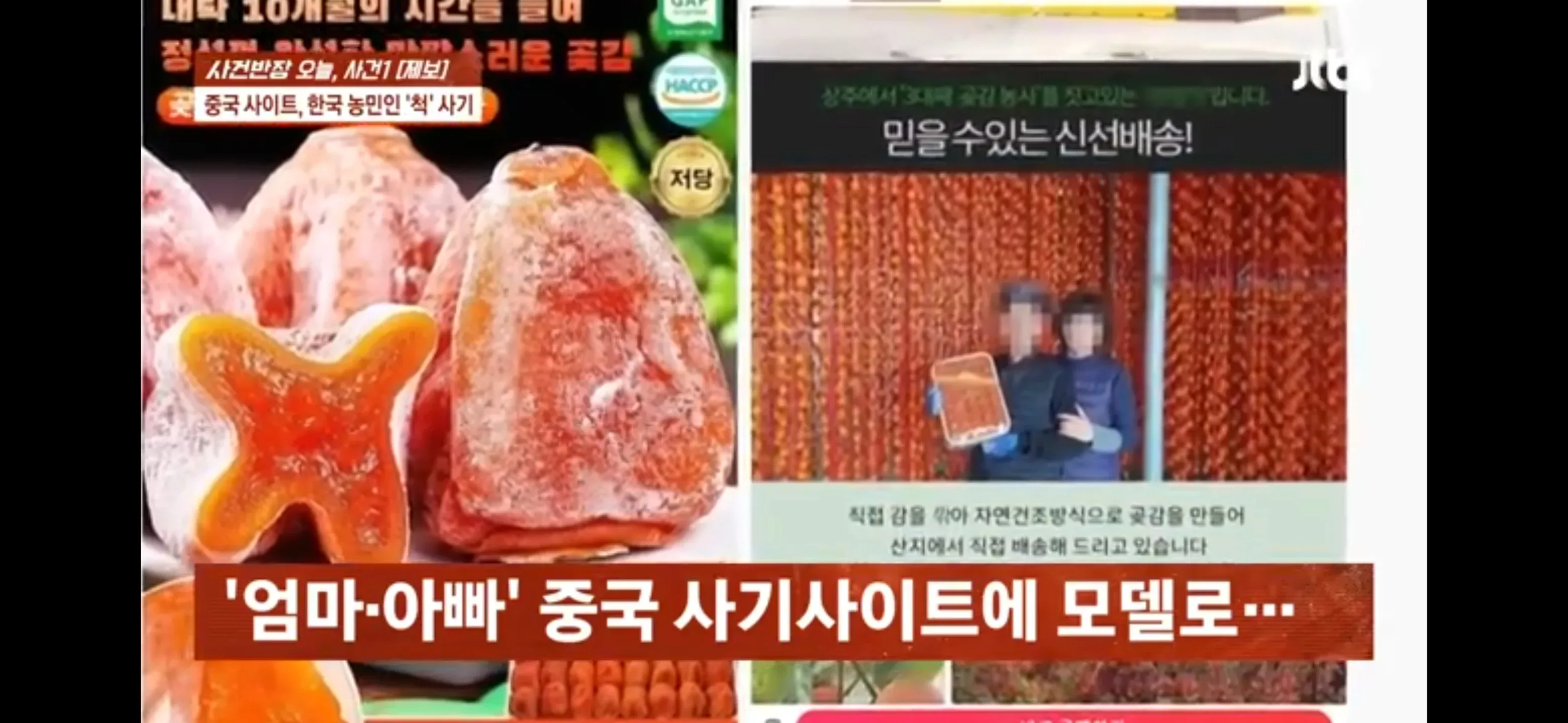중국 사기 사이트가 한국 농민으로 위장해 곶감을 판매하는 사례를 보도한 사건반장 방송 캡처