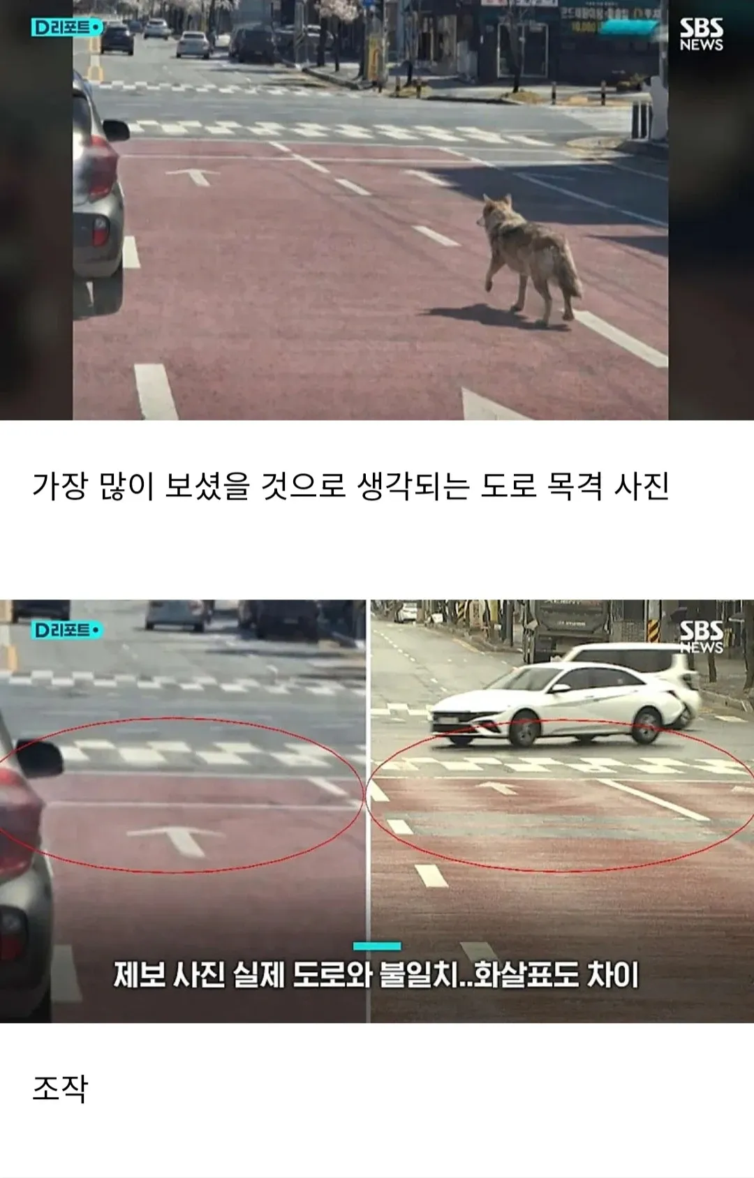 도로 목격 제보 사진과 실제 도로 비교, 화살표 불일치 등 조작 의혹 제기 이미지