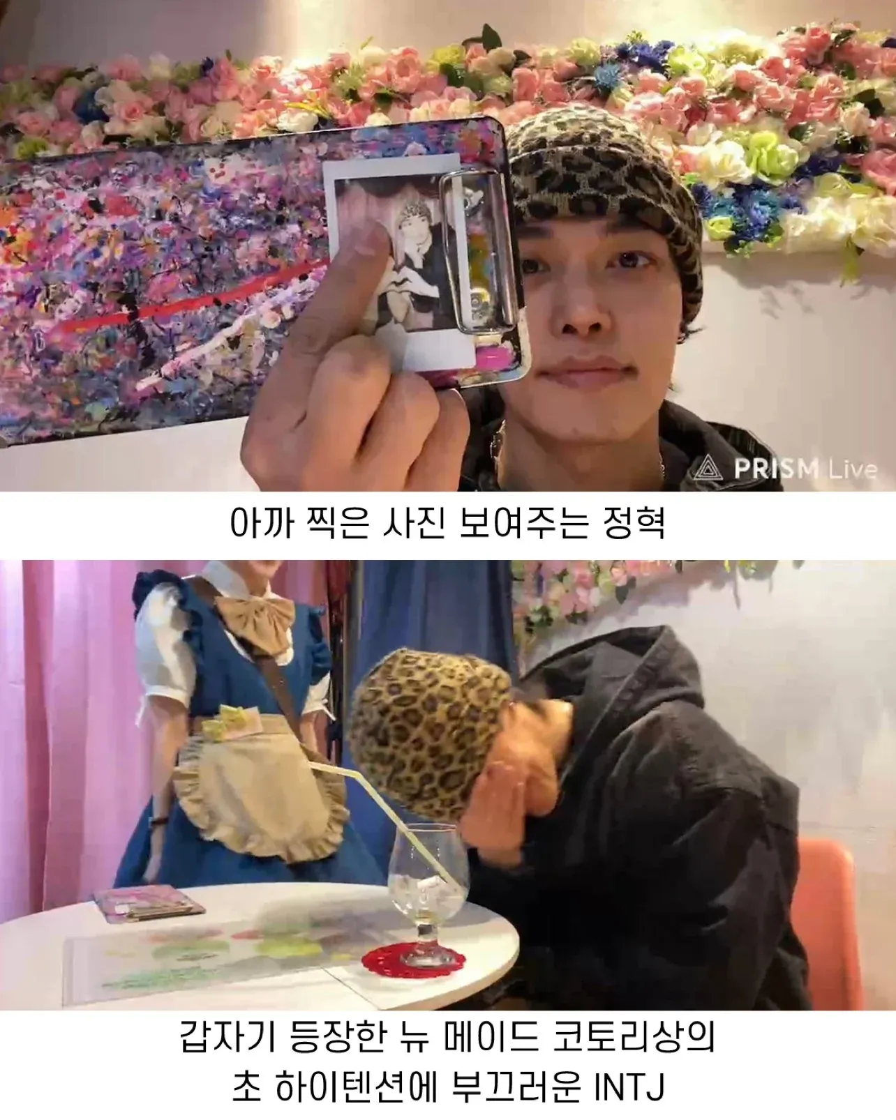 메이드카페에서 사진 보여주며 웃는 남성과 하이텐션 메이드 앞에서 부끄러워하는 남성