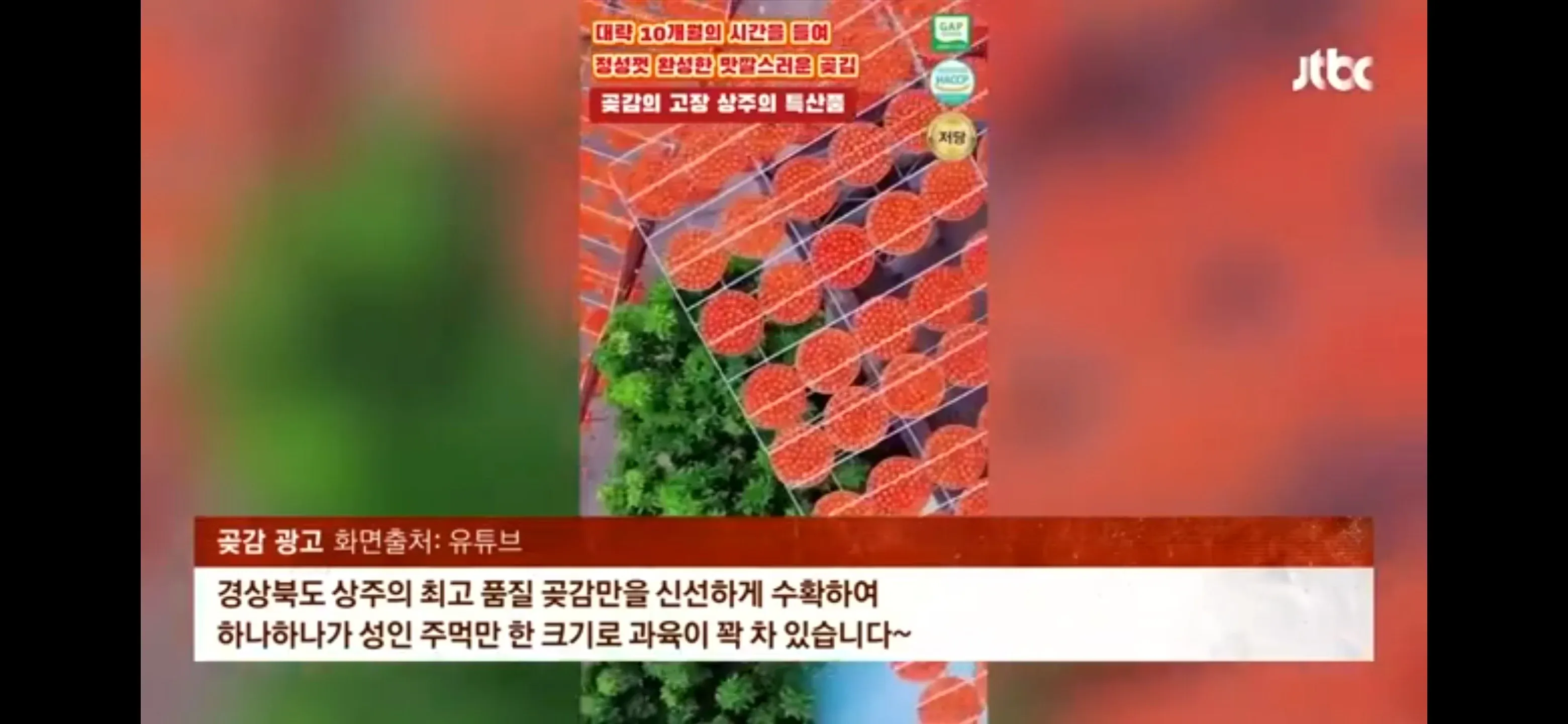 유튜브 상주 곶감 광고 영상 캡처, 확성기로 특산물 홍보하는 장면