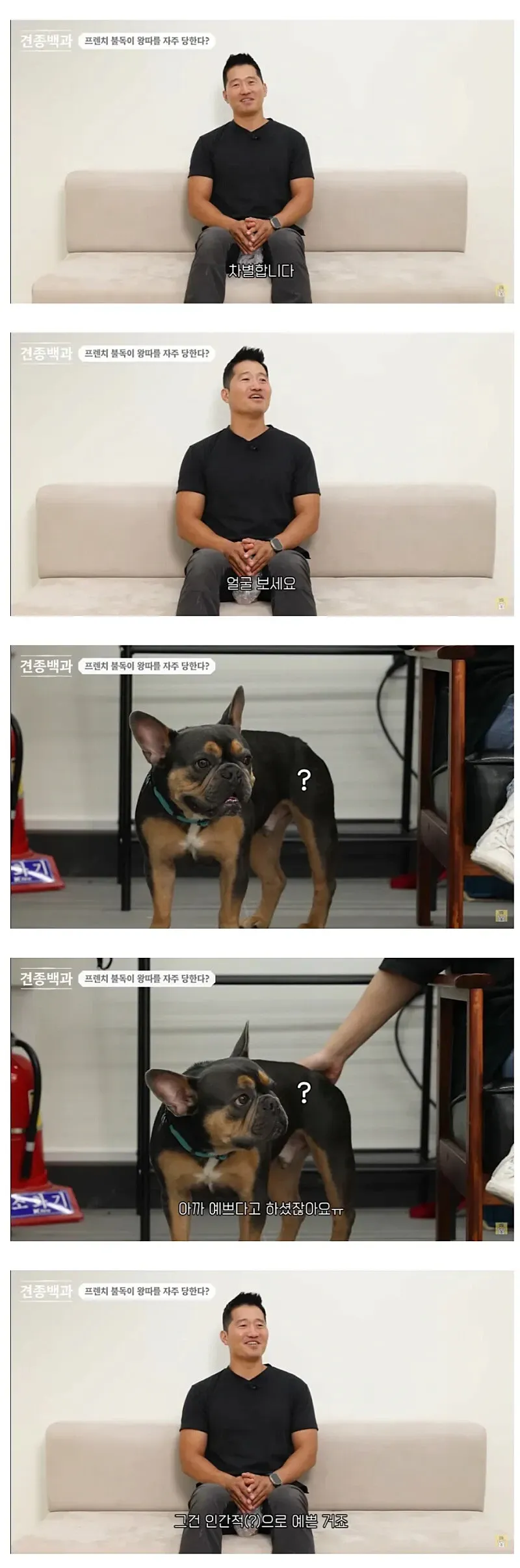 강형욱이 설명하는 왕따를 자주 당하는 견종 저먼 셰퍼드 영상 썸네일