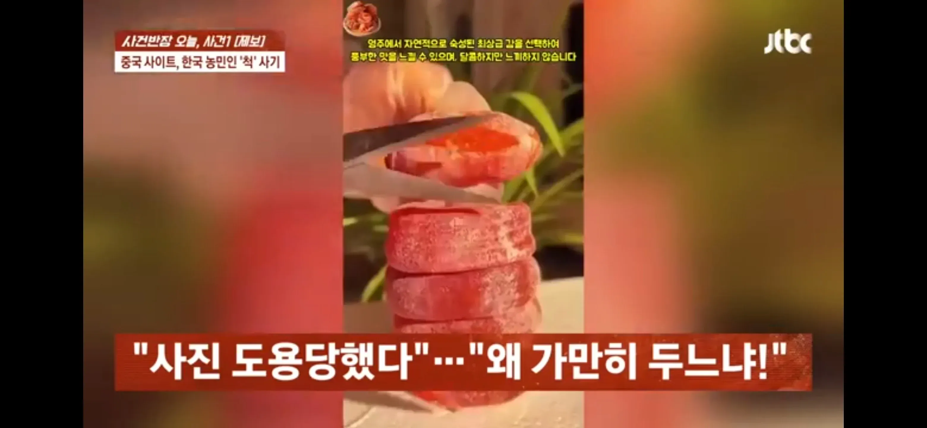 중국 사이트가 한국 농산물 사진을 도용해 사기 판매하는 사례를 고발하는 게시글 캡처