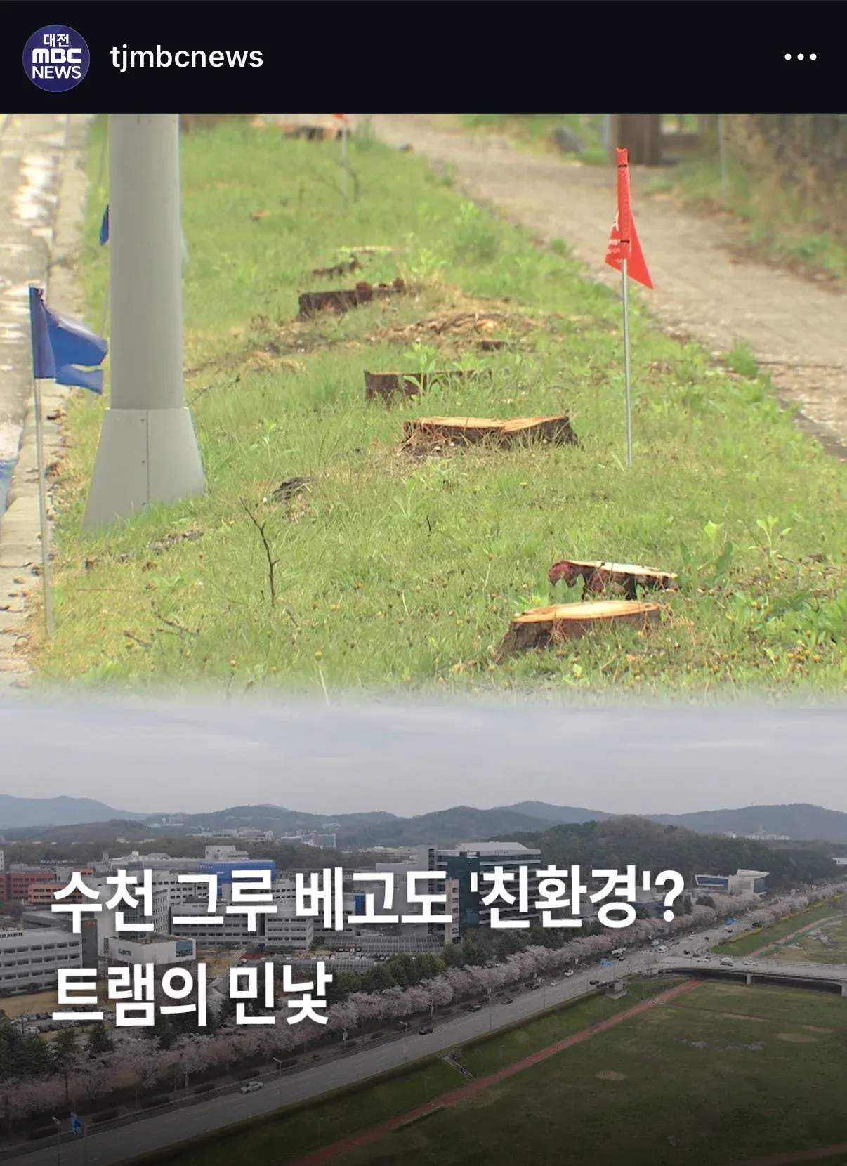 대전 트램 내부에서 촬영된 혼잡한 승객 탑승 장면