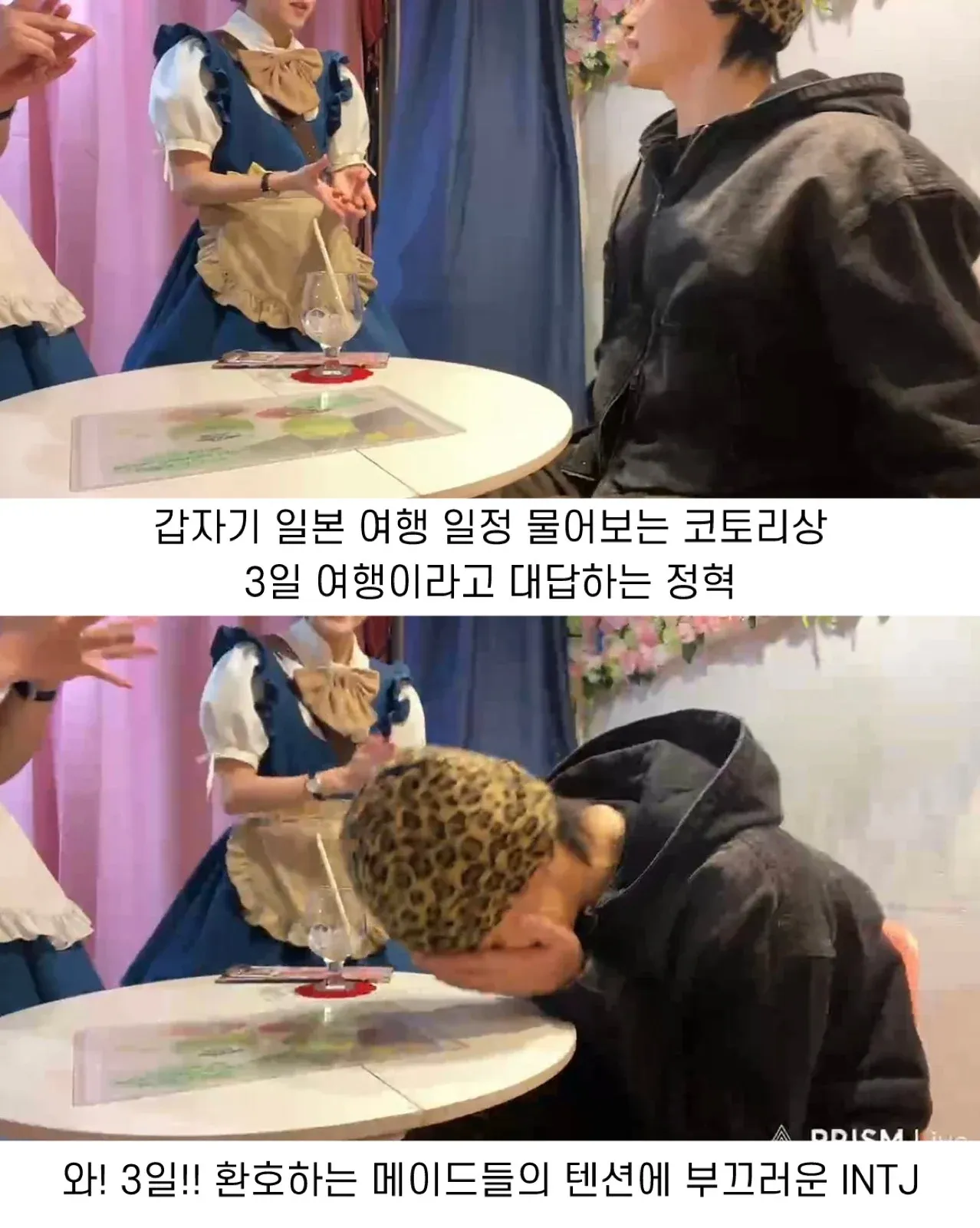 일본 메이드카페에서 여행 일정 묻는 메이드들에게 3일이라 답하자 환호하는 장면에 부끄러워하는 남성