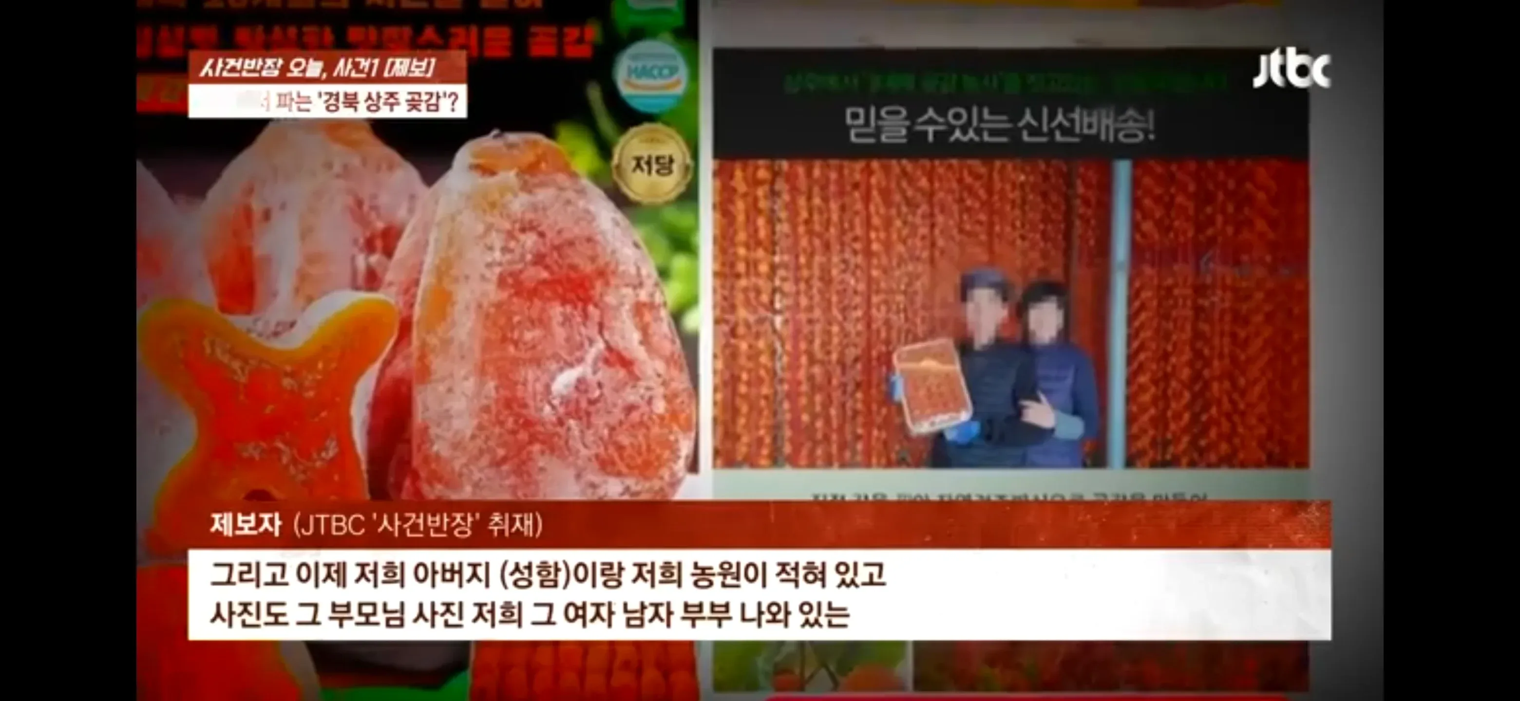 JTBC 사건반장 방송 캡처, 경북 상주 곶감 사기 판매 제보자 인터뷰 장면