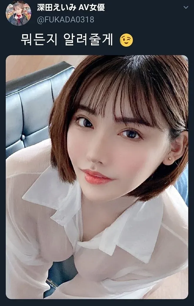 후카다 에이미 트위터 프로필, "뭐든지 알려줄게" 텍스트가 적힌 게시물