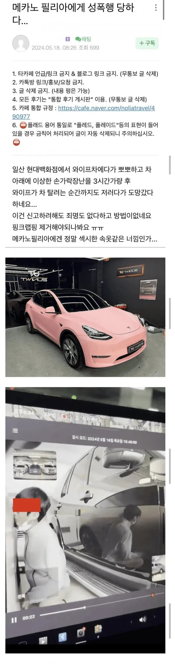 일산 백화점 차량 대상 성범죄 사건 관련 온라인 커뮤니티 게시글 캡처