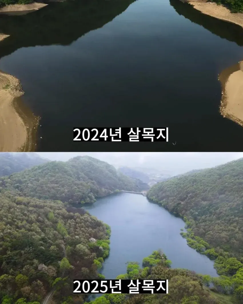 2024년과 2025년 살목지 비교 사진, 유명 심령스팟 근황