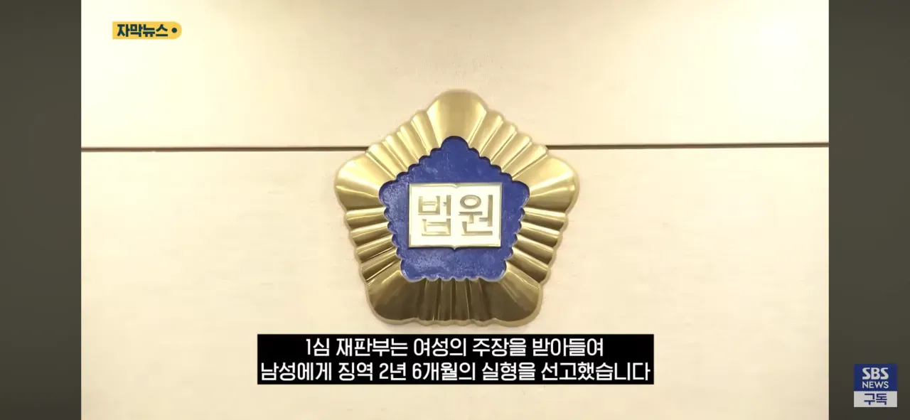 1심 재판부가 남성에게 징역 2년 6개월 실형을 선고했다는 자막이 표시된 뉴스 화면