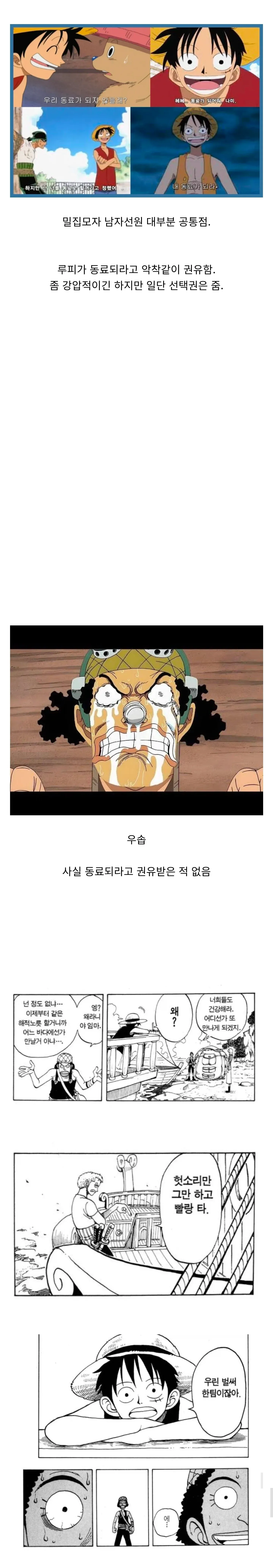 루피가 공식적으로 동료 가입 요청을 하지 않은 유일한 멤버 우솝을 설명하는 텍스트