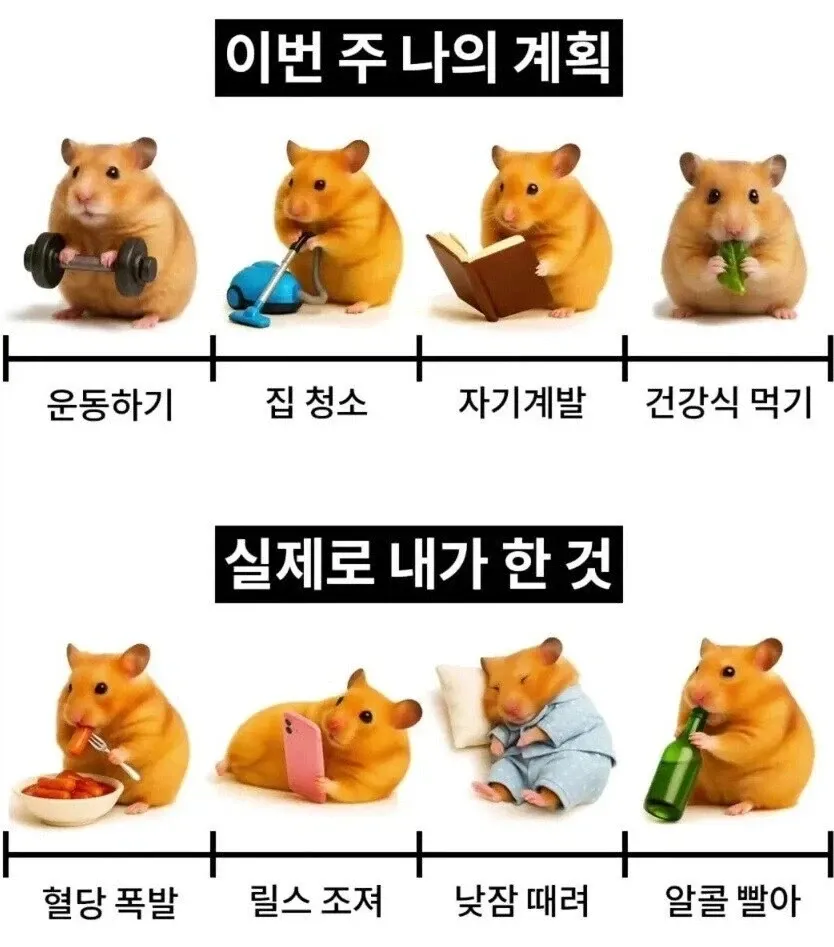 계획은 운동·청소·자기계발이었지만 실제로는 낮잠·릴스·혈당폭발인 현실 비교 짤