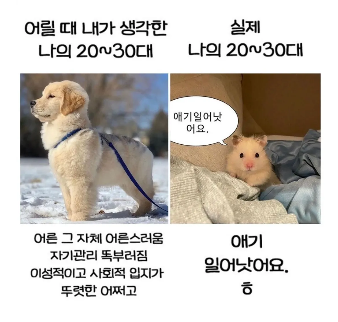 어릴 때 상상한 20·30대와 실제 모습을 비교한 기대 vs 현실 짤