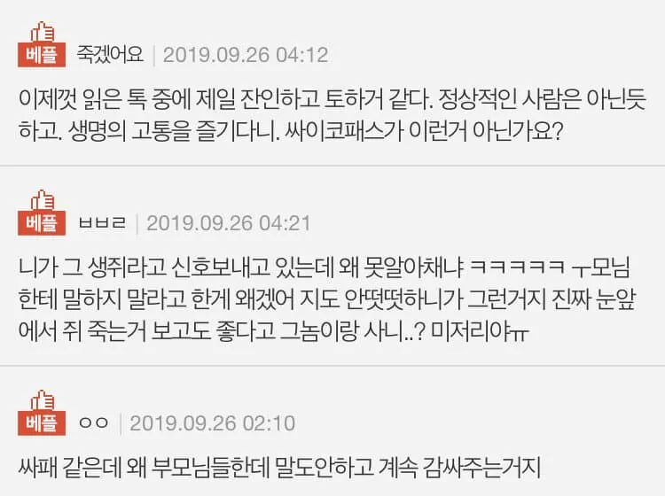햄스터를 고양이 장난감으로 준 남편에 분노하는 댓글들