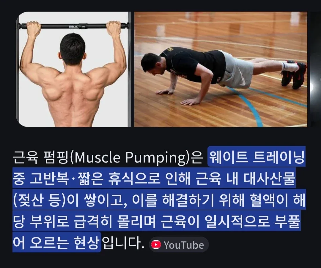 근육 펌핑 원리: 고반복 운동 시 혈액이 근육으로 몰려 일시적으로 부풀어 오르는 현상 설명