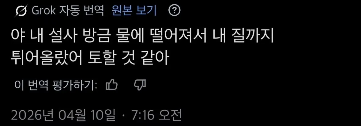 트위터 자동 번역 오역으로 인한 황당한 번역 결과 스크린샷