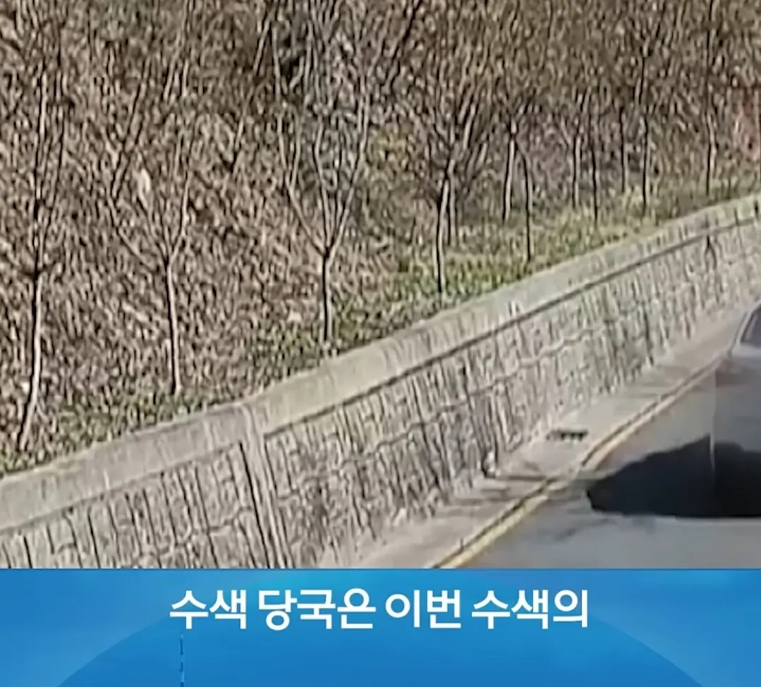 탈출한 늑대를 수색 중인 당국의 뉴스 보도 화면