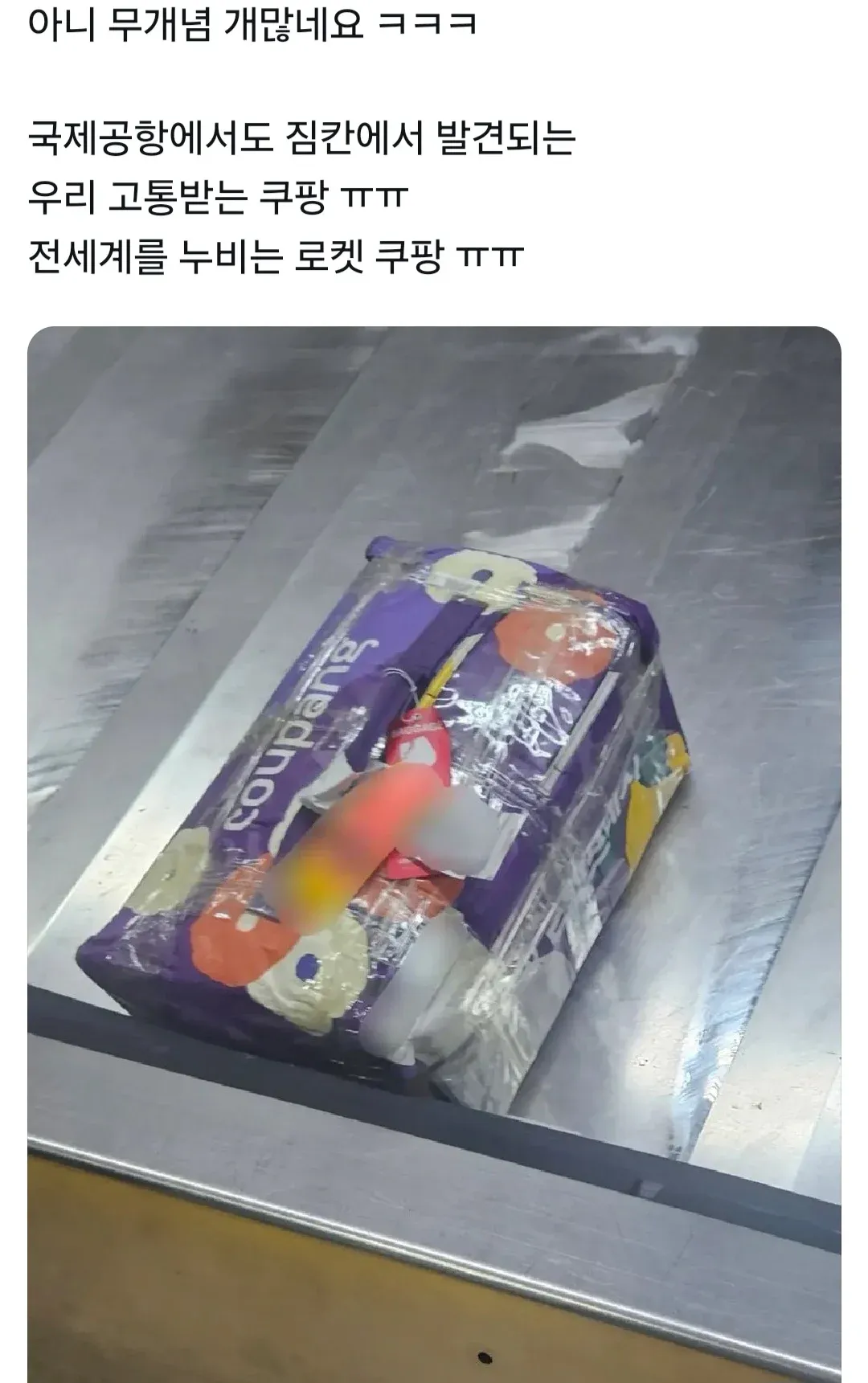 백지영 쿠팡 프레쉬백 공항 반입 논란에 대한 커뮤니티 반응 댓글 모음