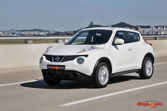 닛산 쥬크의 변형된 프론트 그릴 근접 사진