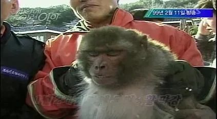 더 명확한 alt 텍스트를 생성하기 위해 추가 정보가 필요합니다:

1. 이미지에서 OCR 텍스트가 정확한가요? ("NC AS IN | Na. ( ./ (a"가 맞는지)
2. "늑