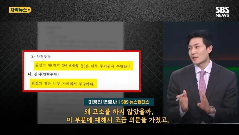 법원 양형 판단과 변호사 인터뷰가 포함된 뉴스 화면 캡처