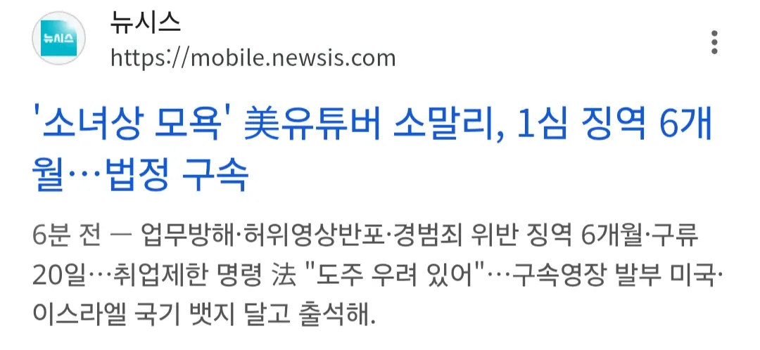 '소녀상 모욕' 미국 유튜버 소말리 1심 징역 6개월 법정구속 뉴스 헤드라인