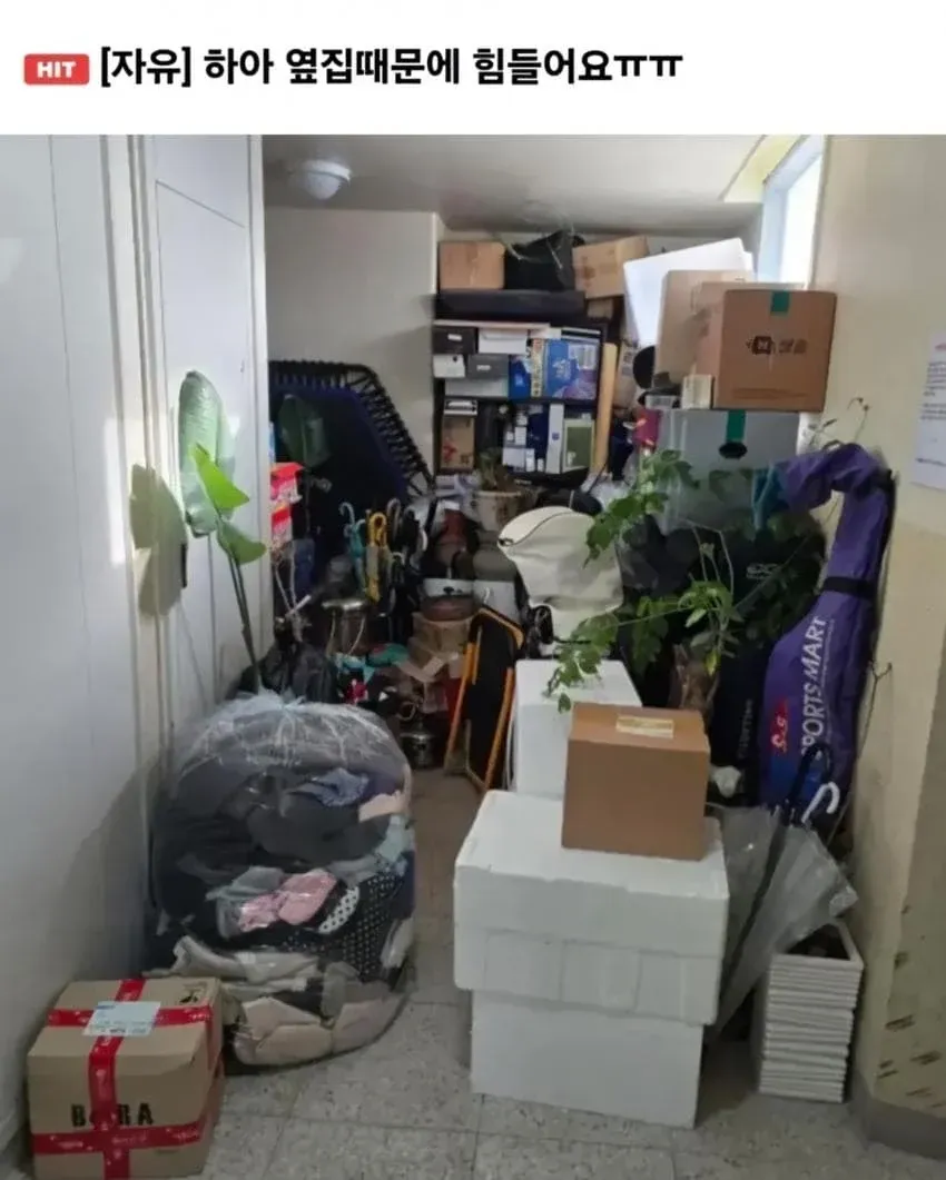 이웃 갈등을 호소하는 커뮤니티 게시글, 공동현관을 개인사유지처럼 사용하는 옆집 문제