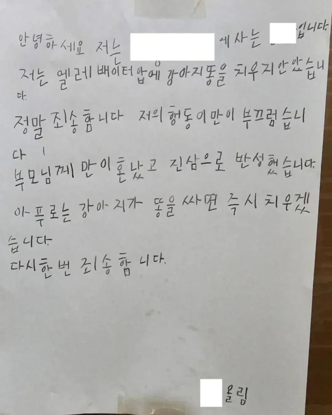 아파트 엘리베이터 앞 강아지 배변 미처리에 대한 주민 사과문