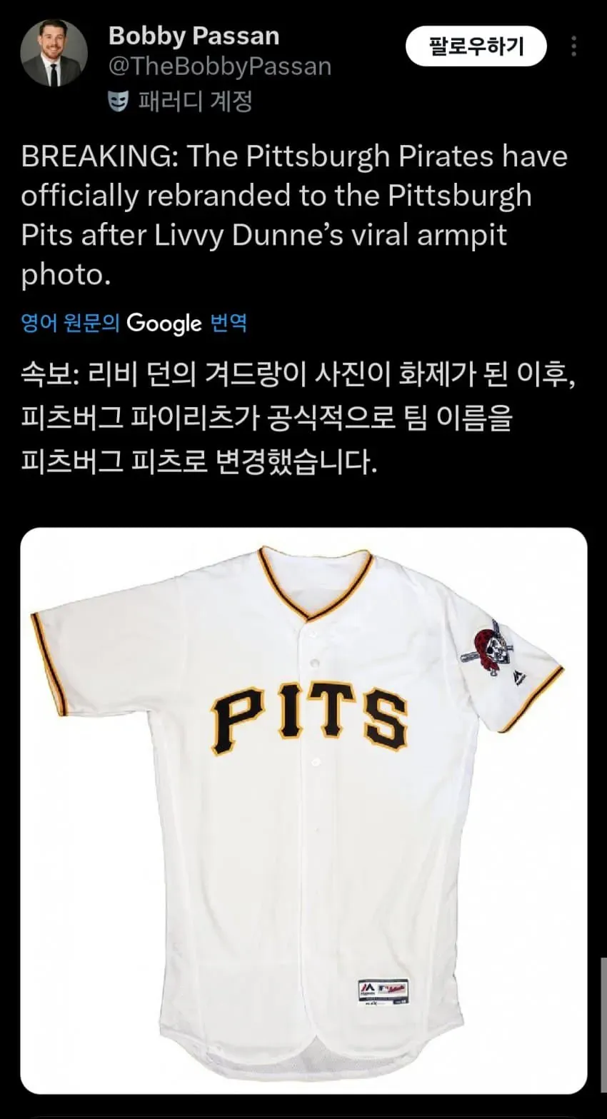 리비 던 겨드랑이 사진 관련 피츠버그 팀명 변경 패러디 트윗